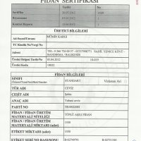 tuplu-ceviz-fidani-sebin-sertifikasi