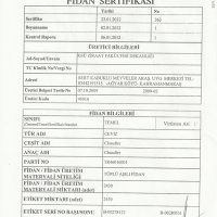 tuplu-ceviz-fidani-uretim-sertifikasi